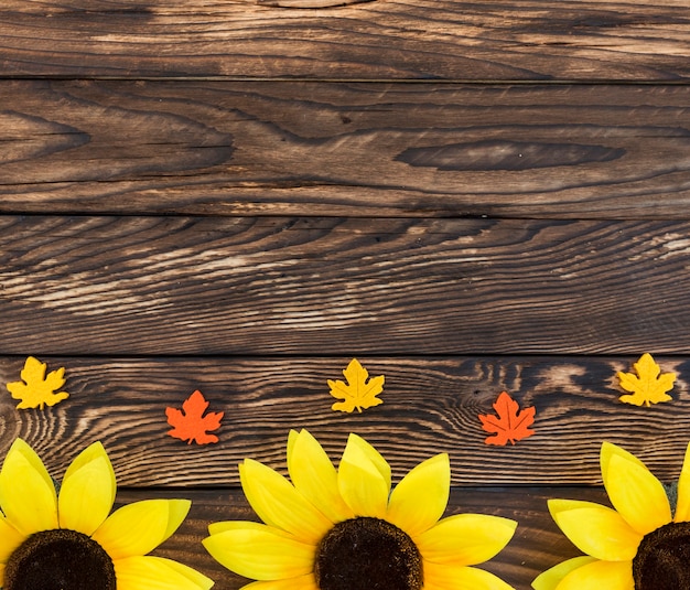 Foto gratuita marco plano laico con girasoles y hojas