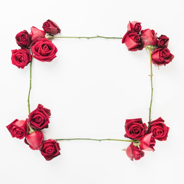 Un marco de rosas rojas decorado vacío sobre fondo blanco