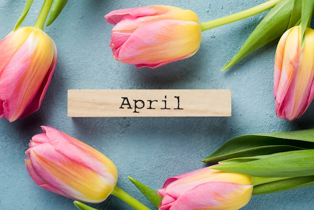 Marco de tulipanes de vista superior con etiqueta de abril