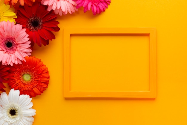 Marco vacío naranja con flores de gerbera