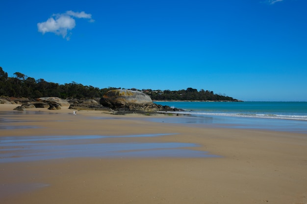 marea baja