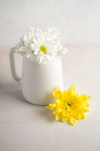 Margarita flores en jarra blanca sobre mesa