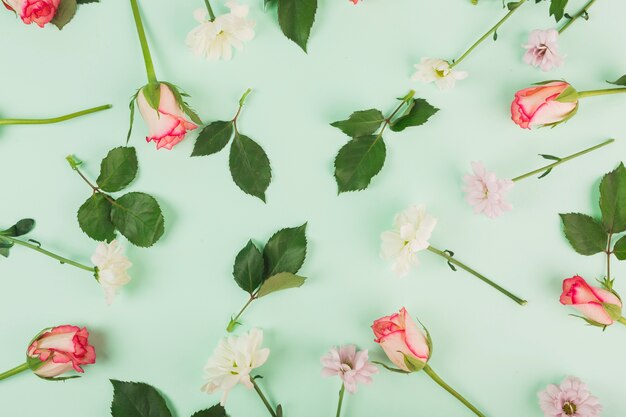 Margaritas bonitas y rosas cerca de hojas de plantas