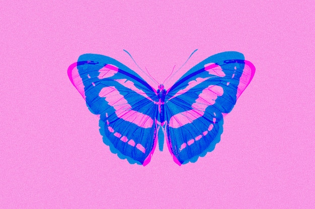 Foto gratuita mariposa en medios remezclados de exposición abstracta de doble color