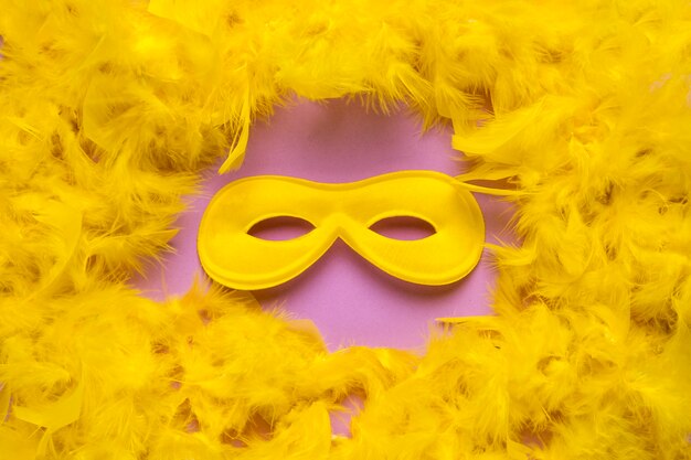 Máscara de carnaval amarillo con primer plano de boa de plumas amarillas