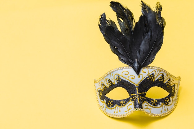 Foto gratuita máscara de carnaval con plumas