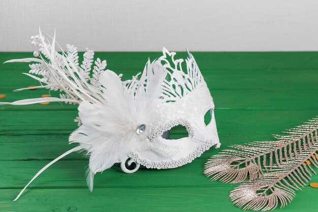 Máscara de carnaval y plumas