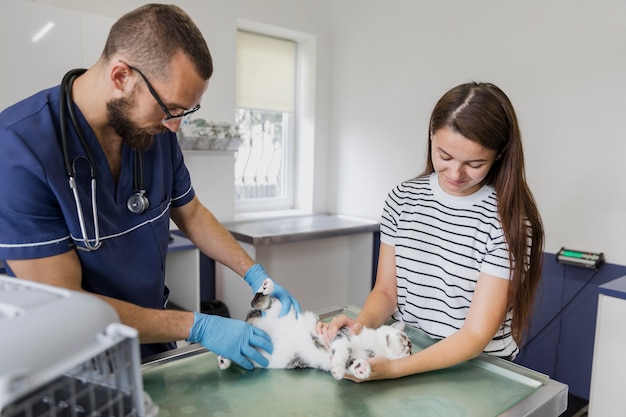 Foto gratuita médico de tiro medio y dueño de gato con gato