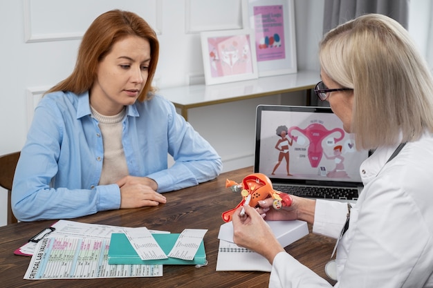 Médico de tiro medio explicando el modelo del sistema reproductivo.