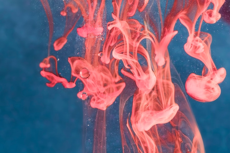 Foto gratuito medusas al revés bajo el agua