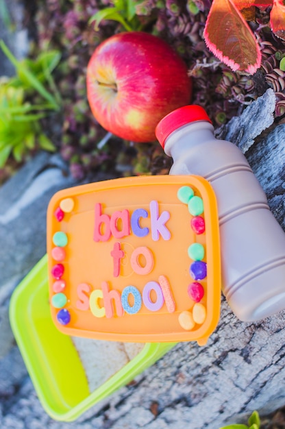 Foto gratuita merienda escolar en contenedor