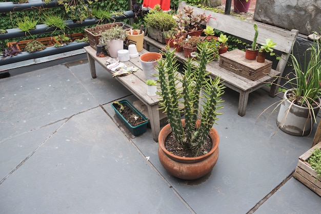 Mesa y banco llenos de plantas