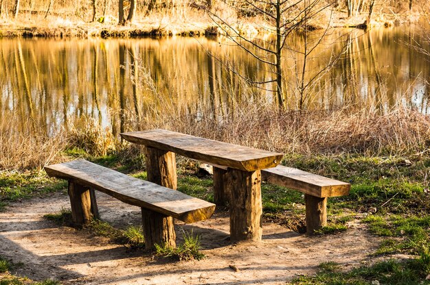 Mesa y bancos de madera rodeados de vegetación y un lago bajo la luz del sol durante el día