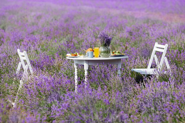 Mesa con comida y dos sillas en campo lavanda