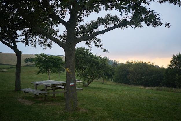 Mesa de picnic al atardecer