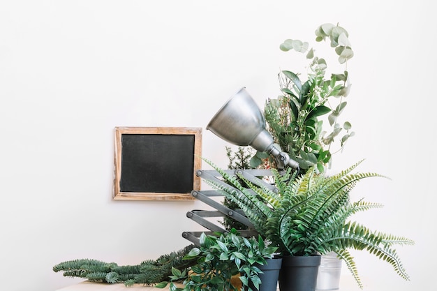 Mesa con pizarra y plantas