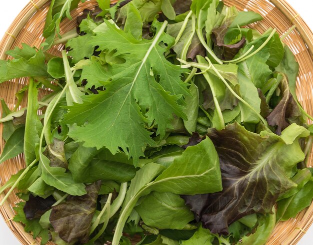 Mezcla de ensalada con rucola, frisee, radicchio y lechuga de cordero