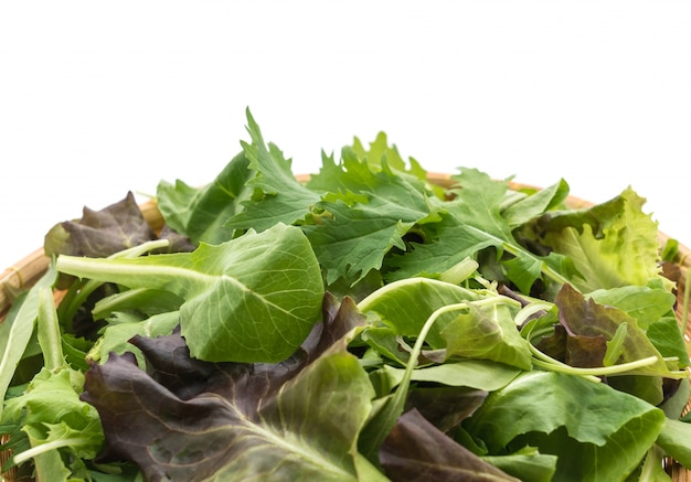 Mezcla de ensalada con rucola, frisee, radicchio y lechuga de cordero