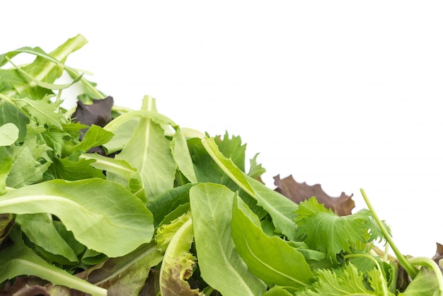 Mezcla de ensalada con rucola, frisee, radicchio y lechuga de cordero