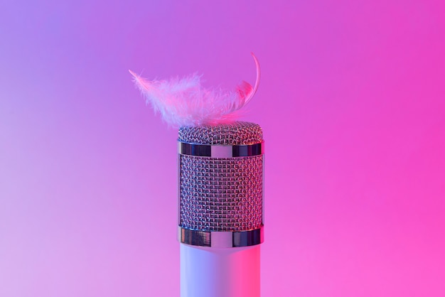 Micrófono asmr con pluma para hacer sonido.