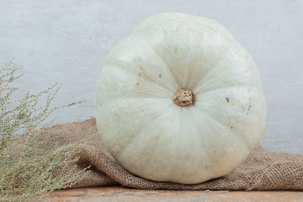 Mini calabaza blanca sobre arpillera con planta.