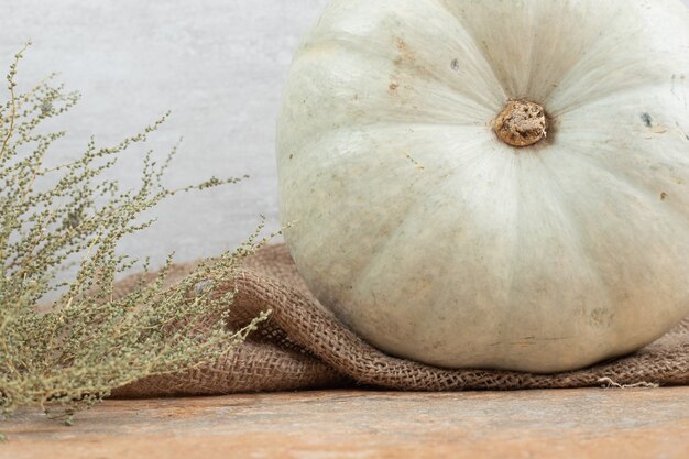 Mini calabaza blanca sobre arpillera con planta.