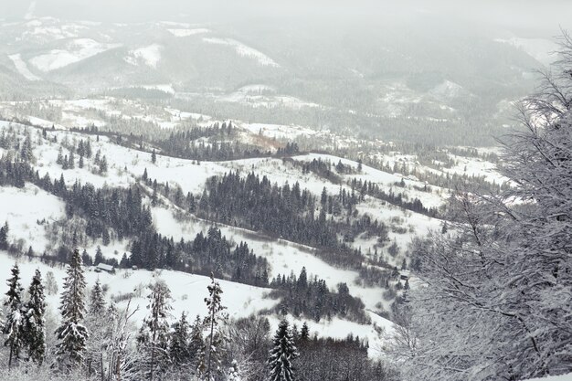 Mira desde arriba a las montañas de ensueño cubiertas de nieve