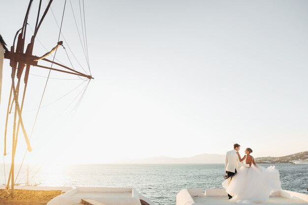 Mira desde lejos a la encantadora pareja de novios mirando la puesta de sol sobre el mar