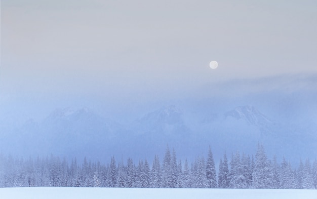 Misterioso paisaje de invierno majestuosas montañas en el invierno.