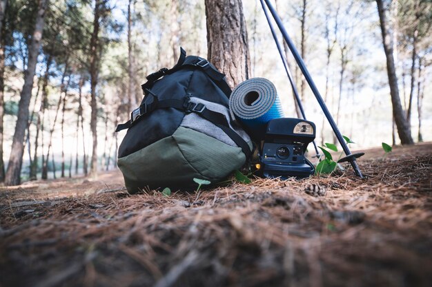 Mochila y cámara cerca de un árbol