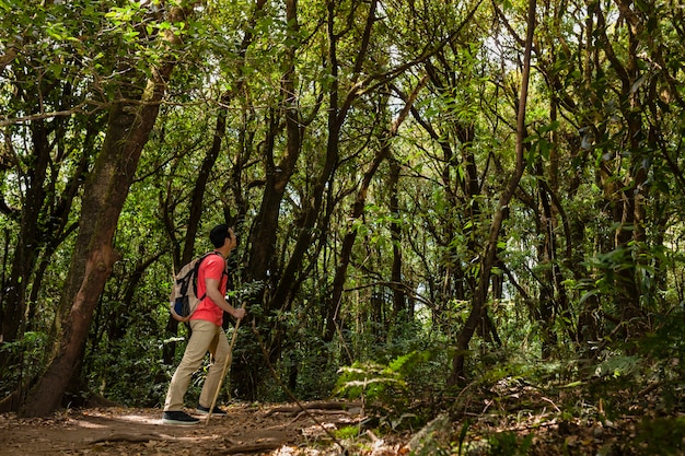 Foto gratuita mochilero admirando arboles