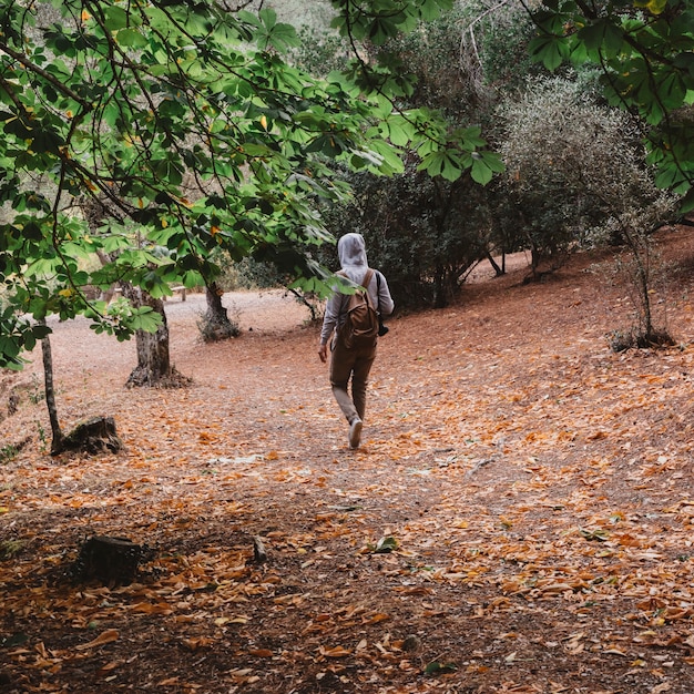 Foto gratuita mochilero andando en bosque de otoño