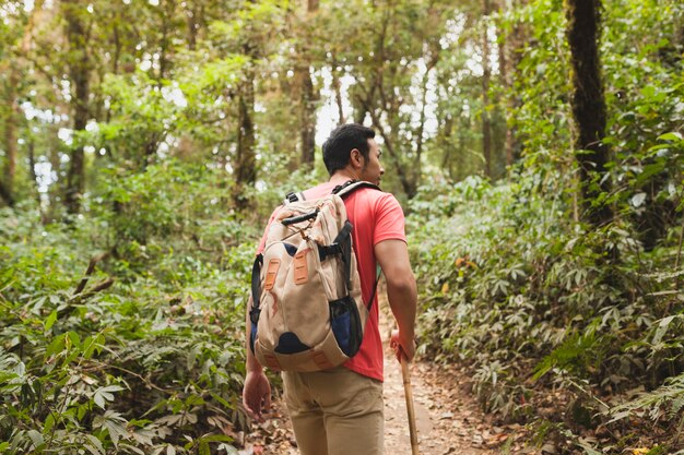 Mochilero andando en un camino de bosque