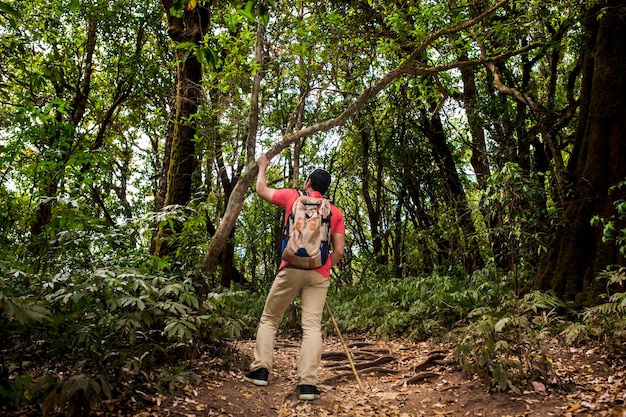 Mochilero apoyándose en árbol