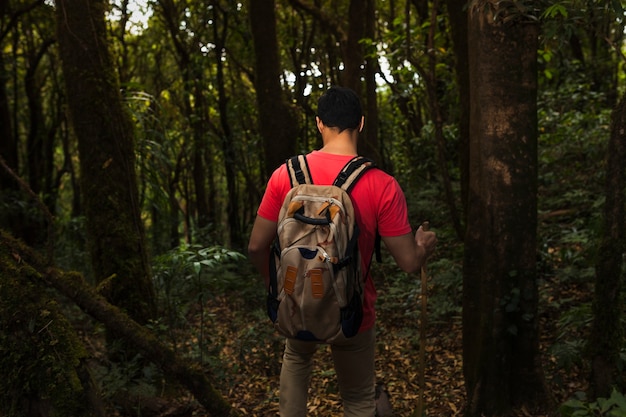 Foto gratuita mochilero en bosque oscuro