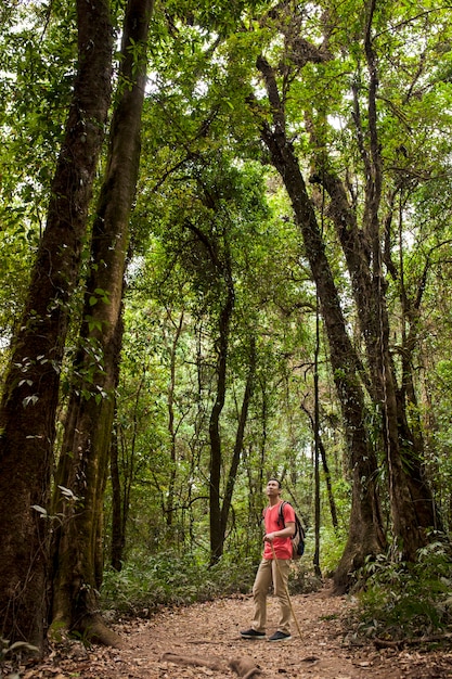 Mochilero en un camino en el bosque