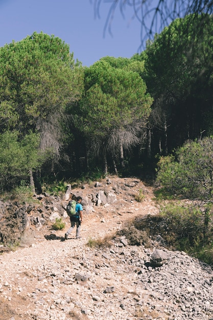 Mochilero en un camino