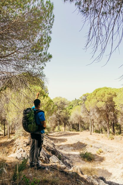 Mochilero debajo de un árbol