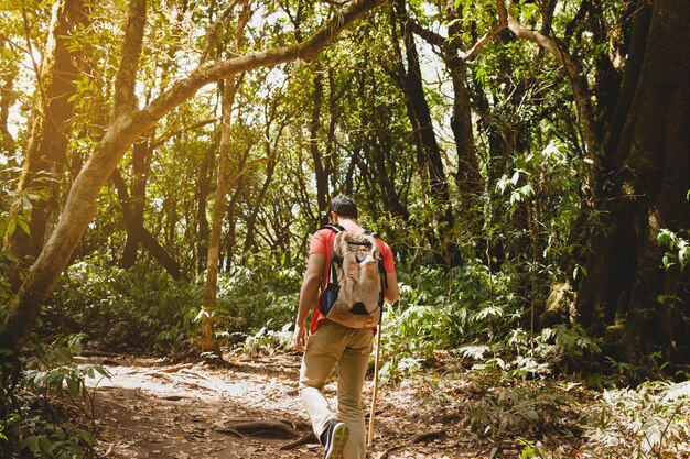 Foto gratuita mochilero de excursión