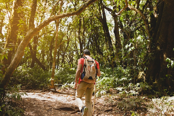 Foto gratuito mochilero de excursión