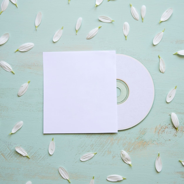 Mockup de cd con pétalos blancos