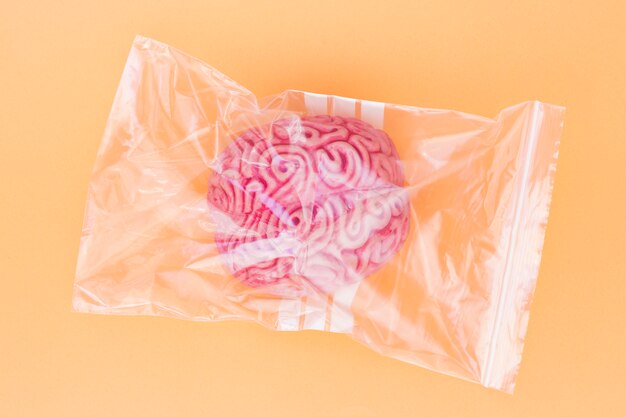Modelo rosado del cerebro humano en la bolsa de plástico sobre fondo amarillo