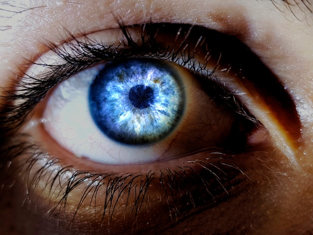 Foto gratuita modelo de vista frontal con el iris de color fantasía.
