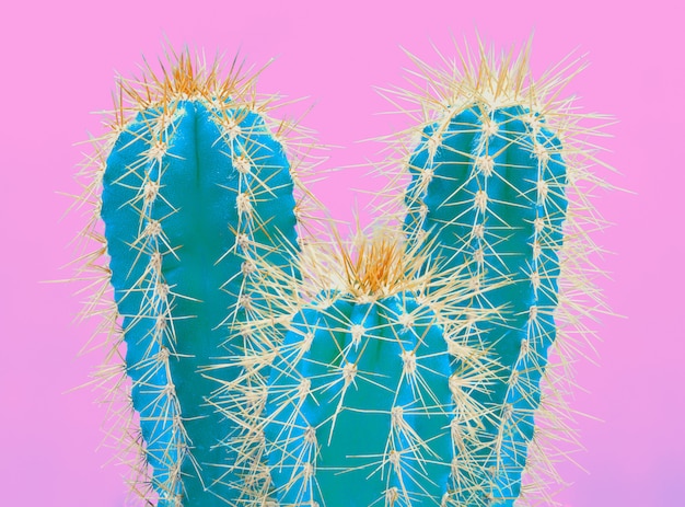 Moderna planta de cactus de neón tropical en rosa