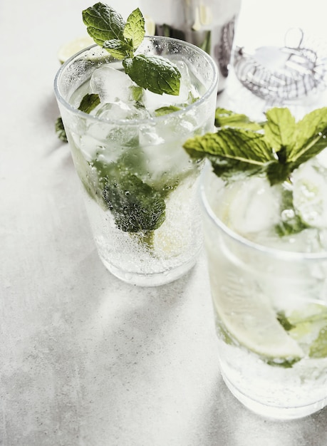 Mojito con ingredientes