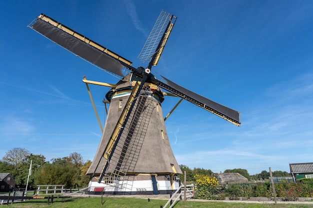 Molino de viento rodeado de árboles verdes y vegetación bajo un cielo azul claro