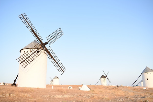 Foto gratuita molinos de viento en un campo en un día soleado