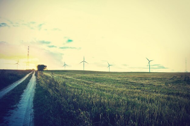 Molinos de viento en el campo.