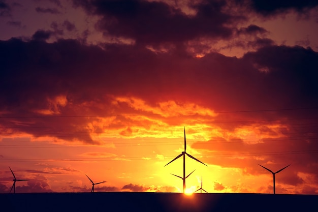 Molinos de viento Energía alternativa.