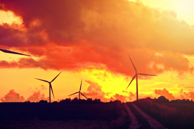 Molinos de viento Energía alternativa.